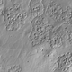 LiDAR, was used to “redraw” the remains of the city, along the lower western slopes of the Suikerbosrand hills near Johannesburg.